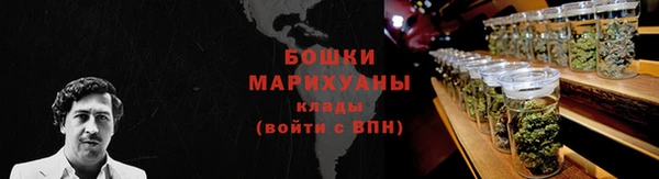 дурь Киреевск